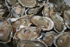 Wellfleet Oysterfest