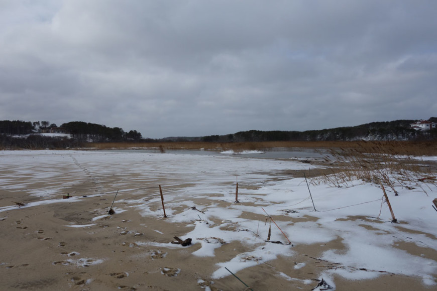 Ballston-Beach-Breach,Flooded-Pamet-Truro,-Cape-Cod,-MA,-2015-Storm-Juno