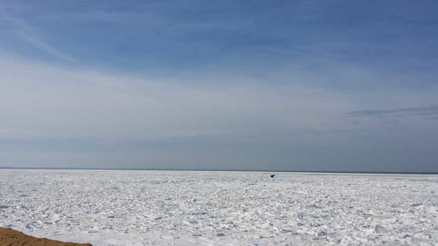 The-Ice-pack-in-Outer-Wellfleet-Harbor, Cape Cod