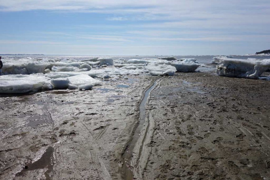 Chequessett-Neck-Iceberg-Trail,-Wellfleet-Harbor,-Cape-Cod-MA,-2015