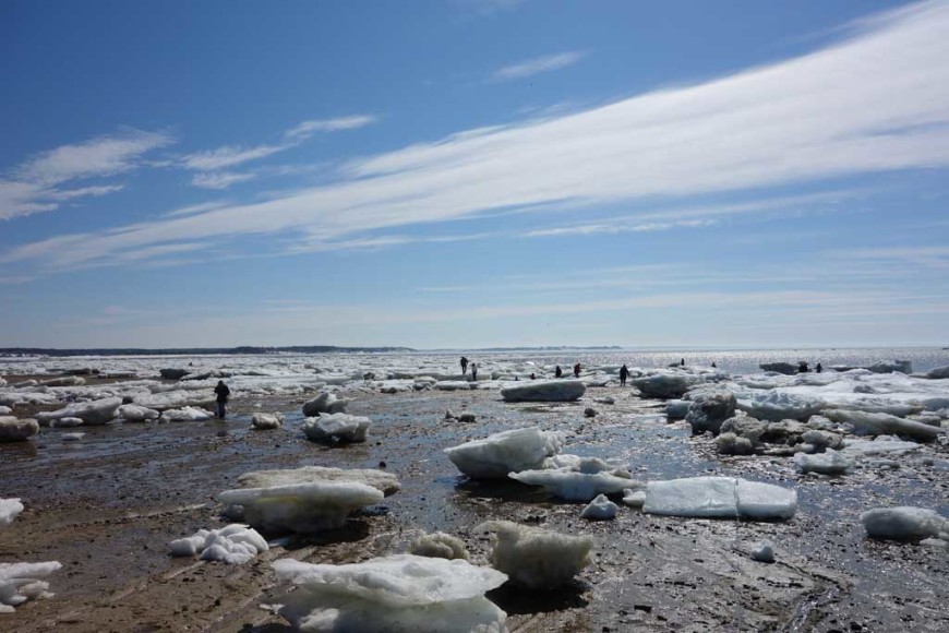 Chequessett-Neck-Iceberg-spectators,-Wellfleet Harbor, Cape Cod-MA,-2015