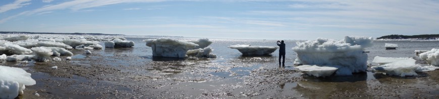 Chequessett-Neck-Icebergs-panorama,-Wellfleet-Harbor,-Cape-Cod-MA,-2015