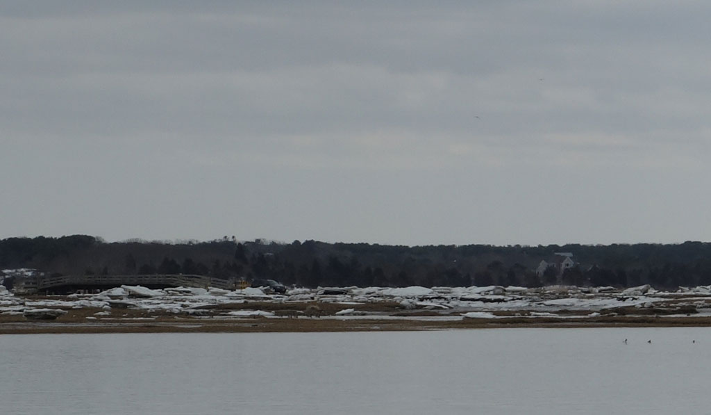 Lt.-Island-Rd-Bridge-Ice-with-SUV,-Wellfleet-Cape-Cod,-MA-Spring-2015