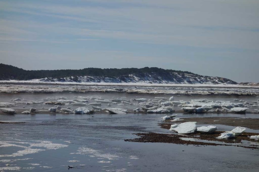 Mist-rises-from-icebergs,-Herring-River,-Wellfleet,-Cape-Cod-MA,-2015