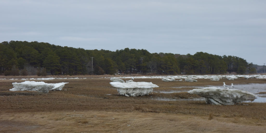 Muffin-Icebergs-Old-Wharf-Loagy-Bay,Wellfleet-Cape-Cod,-MA-Spring-2015