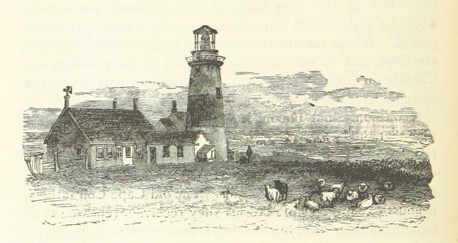 Sankaty Lighthouse 1883, Nantucket, MA.